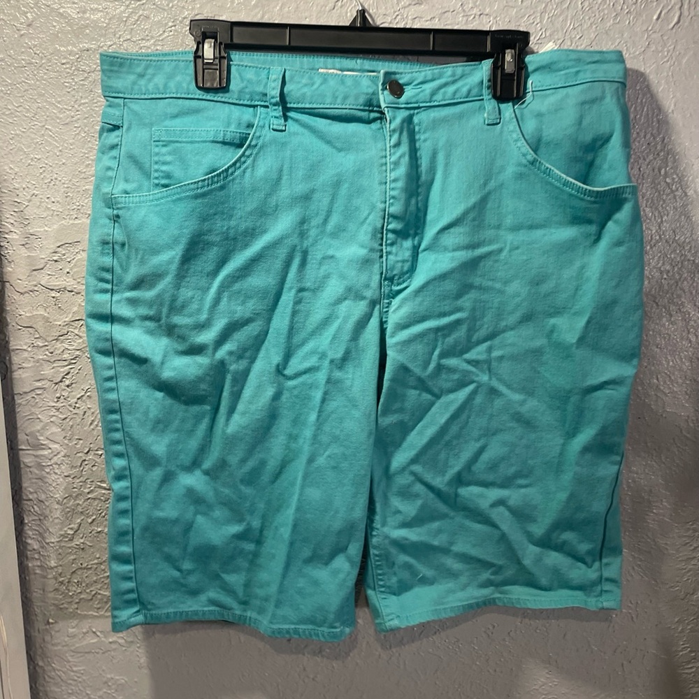 Woman’s Teal Shorts